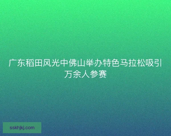 广东稻田风光中佛山举办特色马拉松吸引万余人参赛